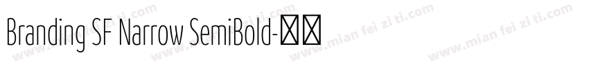 Branding SF Narrow SemiBold字体转换